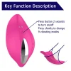 App Controlled Wearable Panty Vibrator