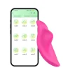 App Controlled Wearable Panty Vibrator