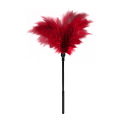 Feather Tickler Small Φτερό