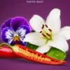 GEISHA Sensual Massage Oil 50 ml
