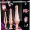 Set Plugs Anal Pleasure Plug Gold - Image 2