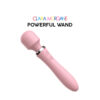 powerful-wand-rose-1-500x500