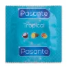 Set of 144 Flavoured Condoms Pasante Tropical