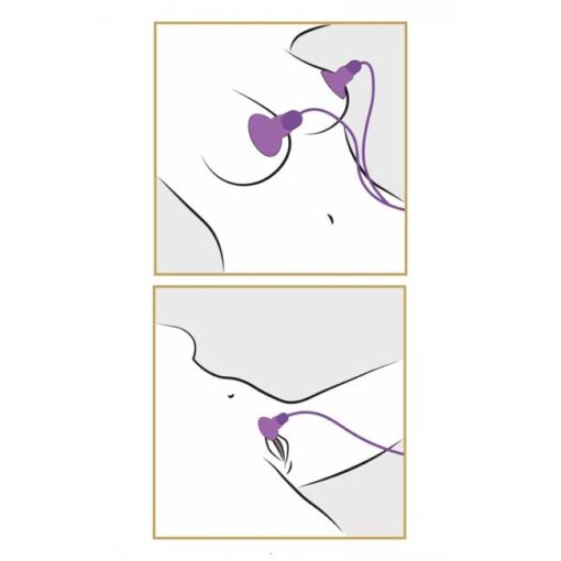 Δονούμενες Βεντούζες Double Nipple and Clitoris Μωβ3