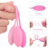 Μπαλάκια με με Δόνηση Set Colors 3 Bile Vaginal Silicon 15.5cm