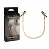 Σφιγκτήρες Θηλών Pipedream Fetish Fantasy - Nipple Clamps Gold Chain 37cm