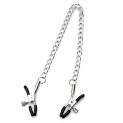 Σφιγκτήρες θηλών Zenn Nipple Clamps with Ring and Chain 42cm2
